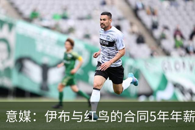 意媒：伊布与红鸟的合同5年年薪100万欧，职责除了竞技还涉及商业